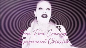 Stage 1: From Porn Craving to Permanent Obsession WMV