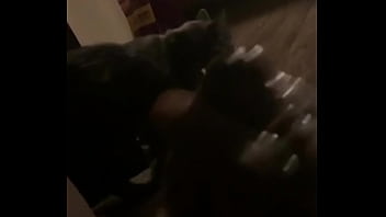 Bbc Explodes
