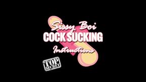 AUDIO ONLY - Sissy boi cock sucking instructions cum countdown
