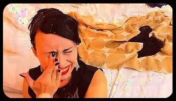 Seductive Nylon Beauty Enjoys Anal Dildo & Swallows Cum