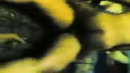 Indonesian Daddies Group Blowjob