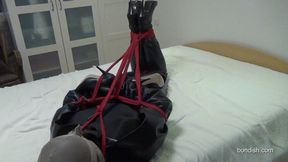 HOGTIED BOOTLOVER