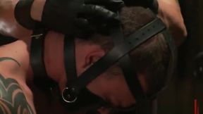 Extreme gay BDSM free video