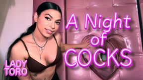 A Night of Cocks