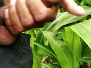 Outdoor handjob and cumshot on grass