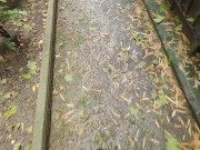 Fapping in french subway and peeing under the eiffel tower ( French GAY porn exhib Paris )