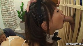 Japanese pet girl trapped and trained to handle big cocks