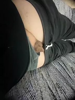 Free day from the cage