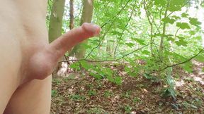 I love the forest