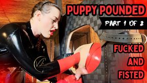 Puppy Pounded - Part 1 of 2 - Strapon Fucked and Fisted by Vivienne l'Amour