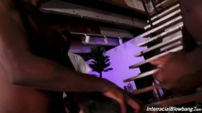 Miranda Miller Loves To Suck Big Black Cock
