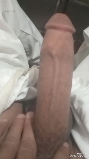 A Video of My Heart and Sexy Land Part One