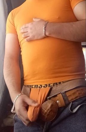 Horny Jackal
