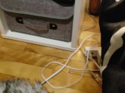 Petite vicelarde s'assoie dans ton visage POV et se defonce le cul, bunny