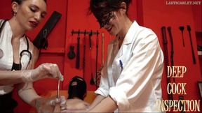 LADY SCARLET & FRIEND - DEEP COCK INSPECTION hd
