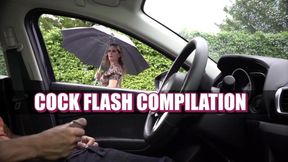 NICHE PARADE - Cock Flash Compilation