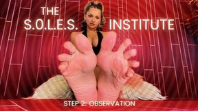 The S.O.L.E.S. Institute Step 2: Observation