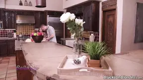 Dogfart Bella Blu