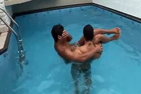 Gill And David Pelegrino Solo couple