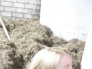 The grooms