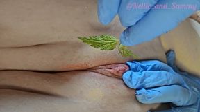 Stinging Her Own Cunt with Nettles Until She Cums