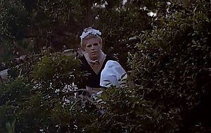 In the bush