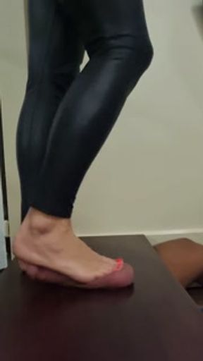 Barbie Cockbox Trample No.26