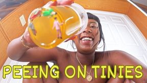Peeing on Tinies ft Queen Ava - This pee fetish scene features giantess, tiny man, shrinking fetish, hairy pussy, and evil giantess - 720 MP4