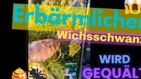 Erbärmlicher Wichsschwanz wird gequält  ☠️🐜🍯