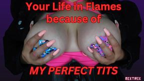 Your Life in Flames because of My Perfect Tits