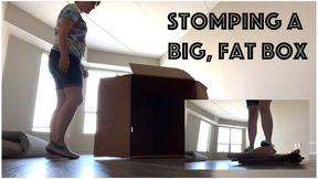 Stomping A Big, Fat Box (WMV)