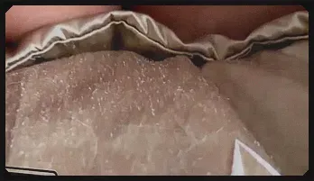 Angel Gostosa's Voluptuous Solo Seduction