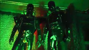 Perfect rubberboys playing