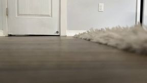 Giantess Tara turns a peeping Tom into her buttplug