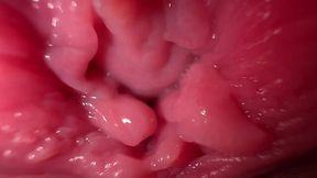 Spread Open and Dirty Talk: Intense Pussy Close-Up