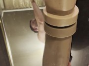 T-Rex, Boss Hogg and Crackers the Cockatrice part Nr.2