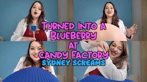 Turned into a Blueberry at Candy Factory - You Try a Special Full Course Dinner Candy from Sydney Screams and Expand into a Giant Blueberry Ready