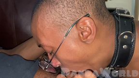 panda world orgy with rapper zay hilfigerrr brings his bbc friend over for more big black cock!