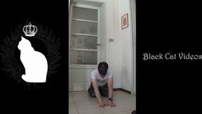 Buffalos trampling hands featuring Alice