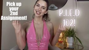 P.I.E.D Assignment 2/4