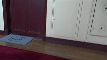 STRAIGHT FUCKED BY TRAN SIN THE KITCHEN