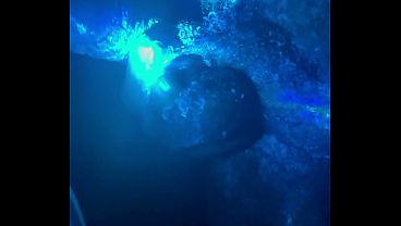 Dannymignon - chat content #2 - IMG 1637 - Jan 08, 2026