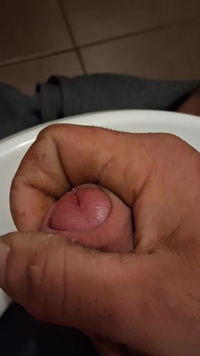 Masturbates in a public toilet