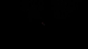 Julia Ann Boob Worship with Tanya Tate