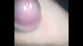 Paja de noche