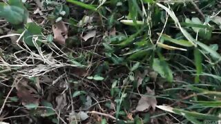 Stark naked Japanese fat frog lady in the swamp HD