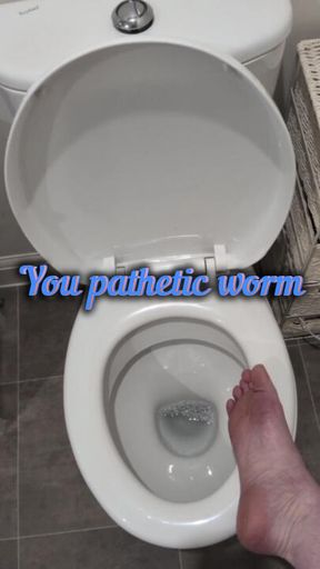 You pathetic worm