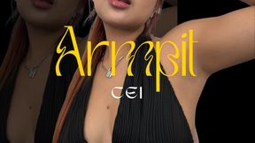 ARMPIT CEI