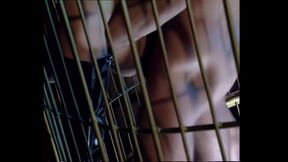 Venere Bianca Fucked in Cage