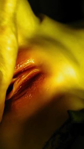 Unforgettable moment from &quot;How she loves to masturbate her wet pussy&quot;